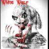 8d1fbe white wolf
